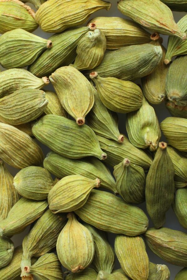 CARDAMOM