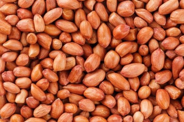 Peanut
