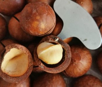 macadmia